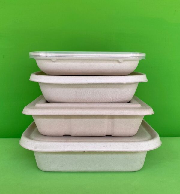 bowl rectangular bagazo trigo ecologico biodegradable