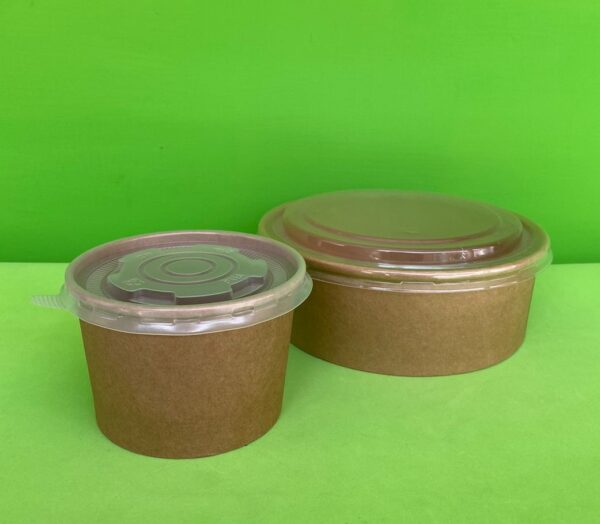 bowl karft ecologico biodegradable