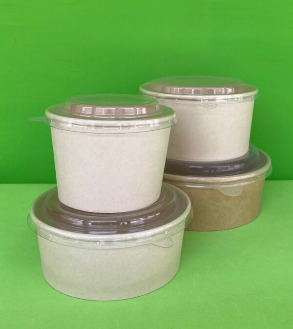bowl fibra de bambu ecologico biodegradable